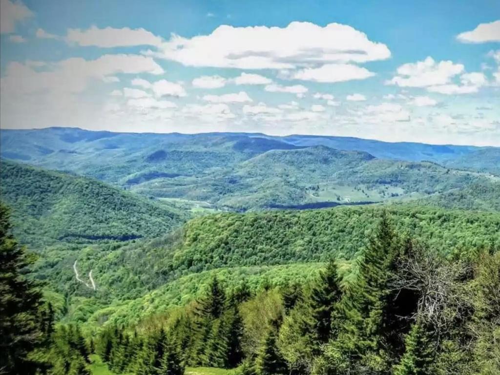 Enjoy The Long Range View, Ski In N Out Top Of The Mountain Condo Snowshoe Eksteriør billede